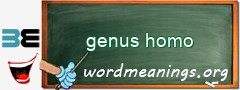 WordMeaning blackboard for genus homo